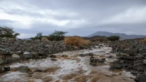 أمطار تبوك تصل إلى 118.5 ملم في يوم واحد مع تحذيرات من عواصف رعدية قادمة